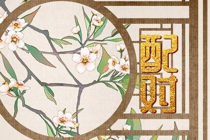日干情缘与天干五合